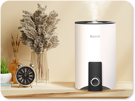 BOONAIR